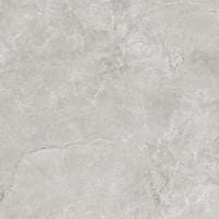 Pluto Silver Керамогранит светло-серый SG625820R 59,5х59,5 матовый