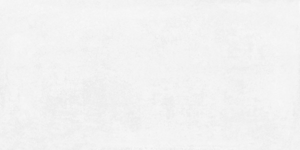 Betonica Blanco PRO Керамогранит светло-серый 60х120 матовый R11Soft