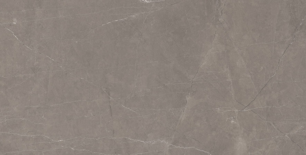Splash Grey Керамогранит серый 60х120 Сатинированный Карвинг