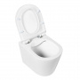 Унитаз подвесной безободковый BelBagno FLAY-R