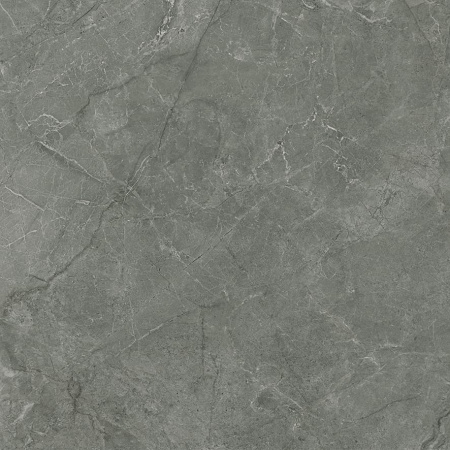 Pluto Grigio Керамогранит серый SG625920R 59,5х59,5 матовый