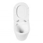 Унитаз подвесной безободковый BelBagno FLAY-R