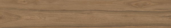 Selva керамогранит коричневый SG517720R 19,6х119,1